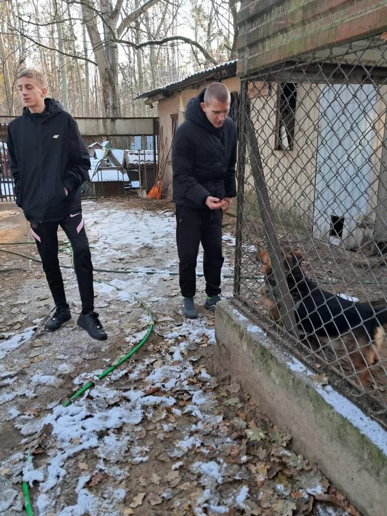 Schronisko w Milanówku