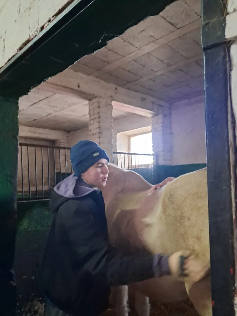 Wizyta w stadninie koni