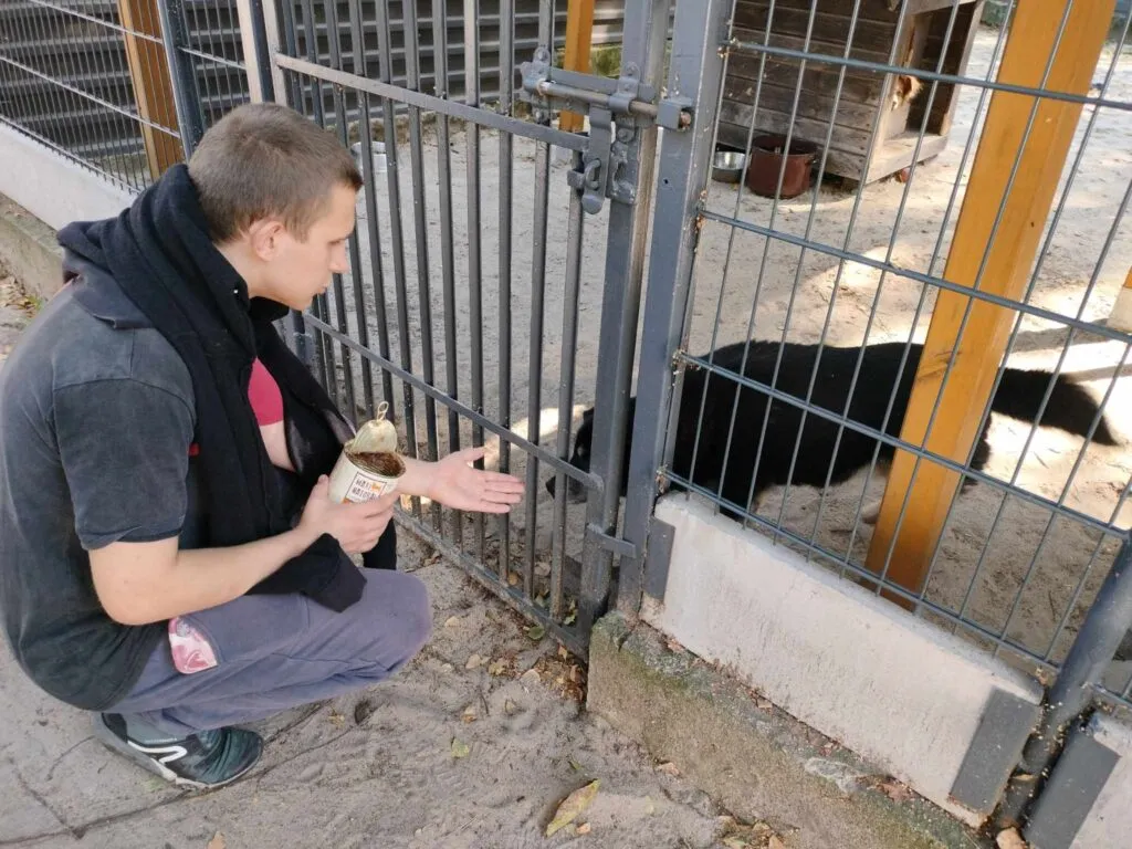 Powrót do Schroniska w Milanówku