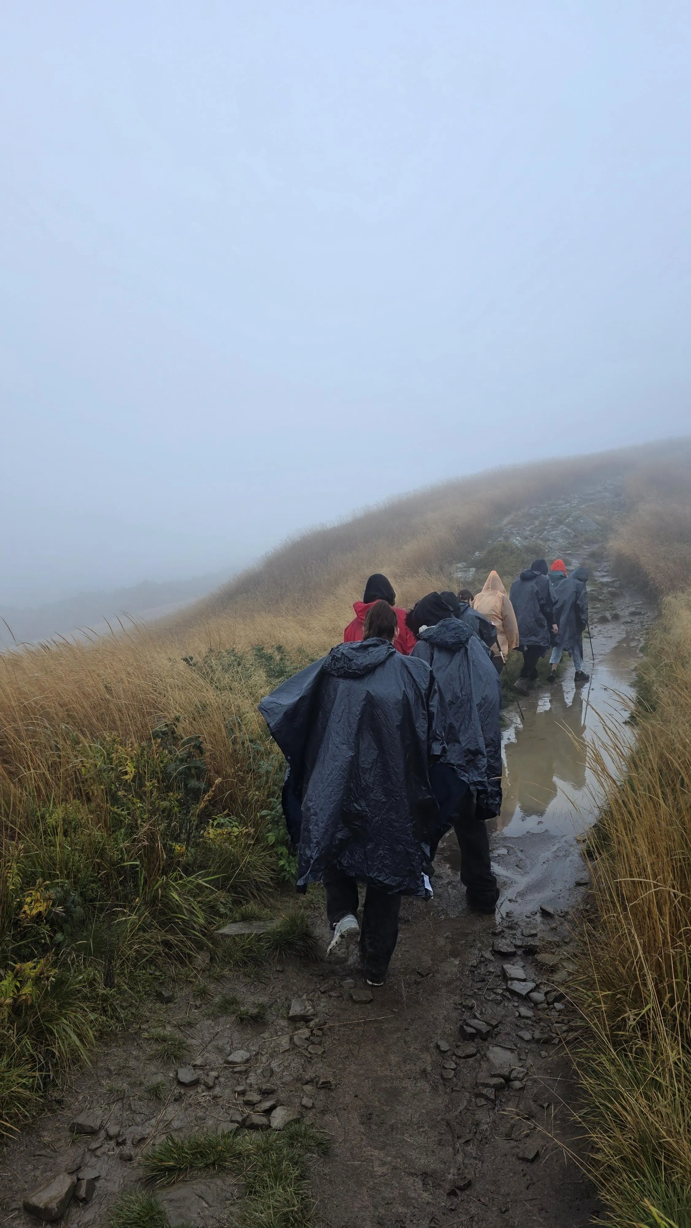 bieszczady