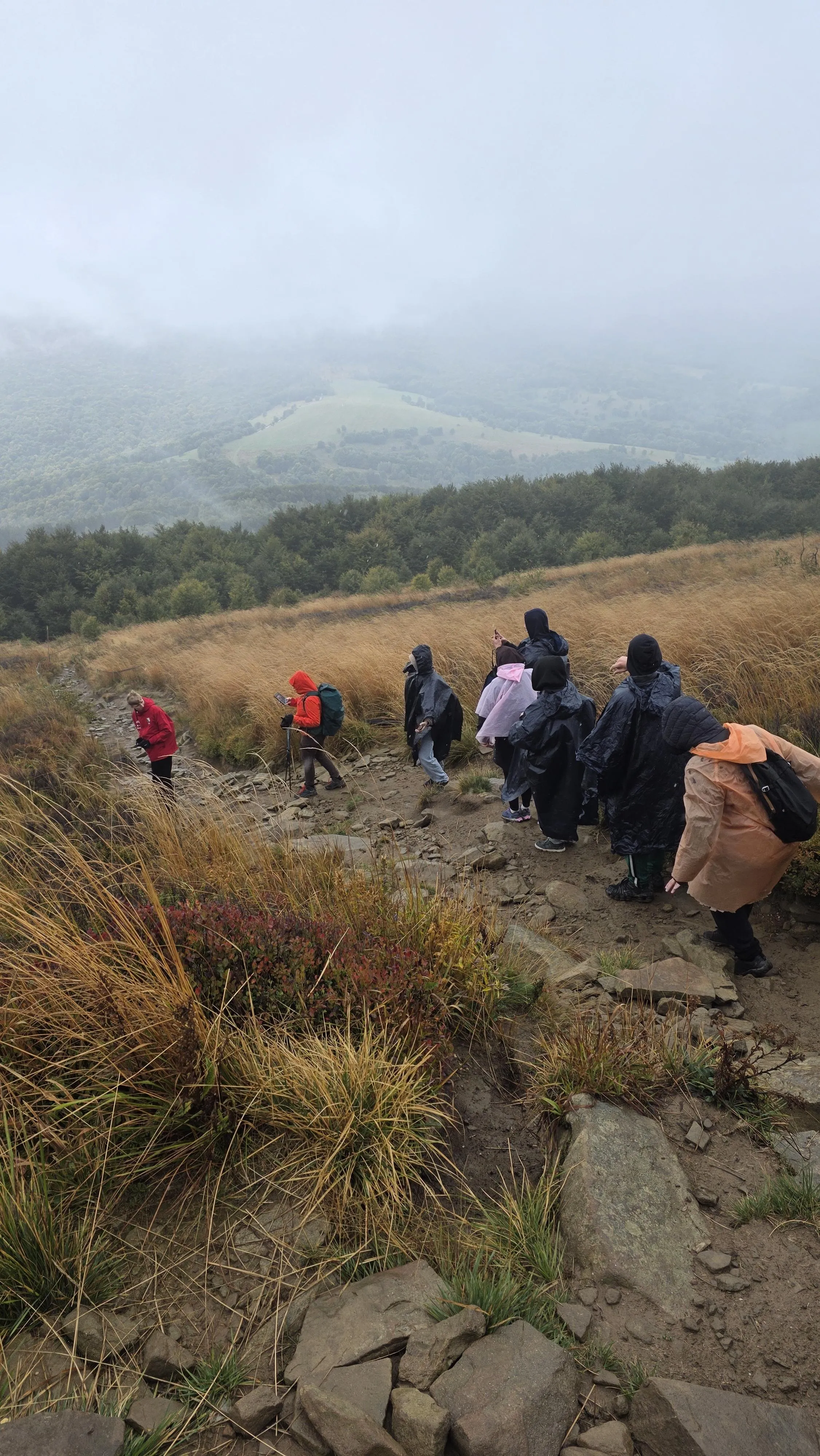 bieszczady