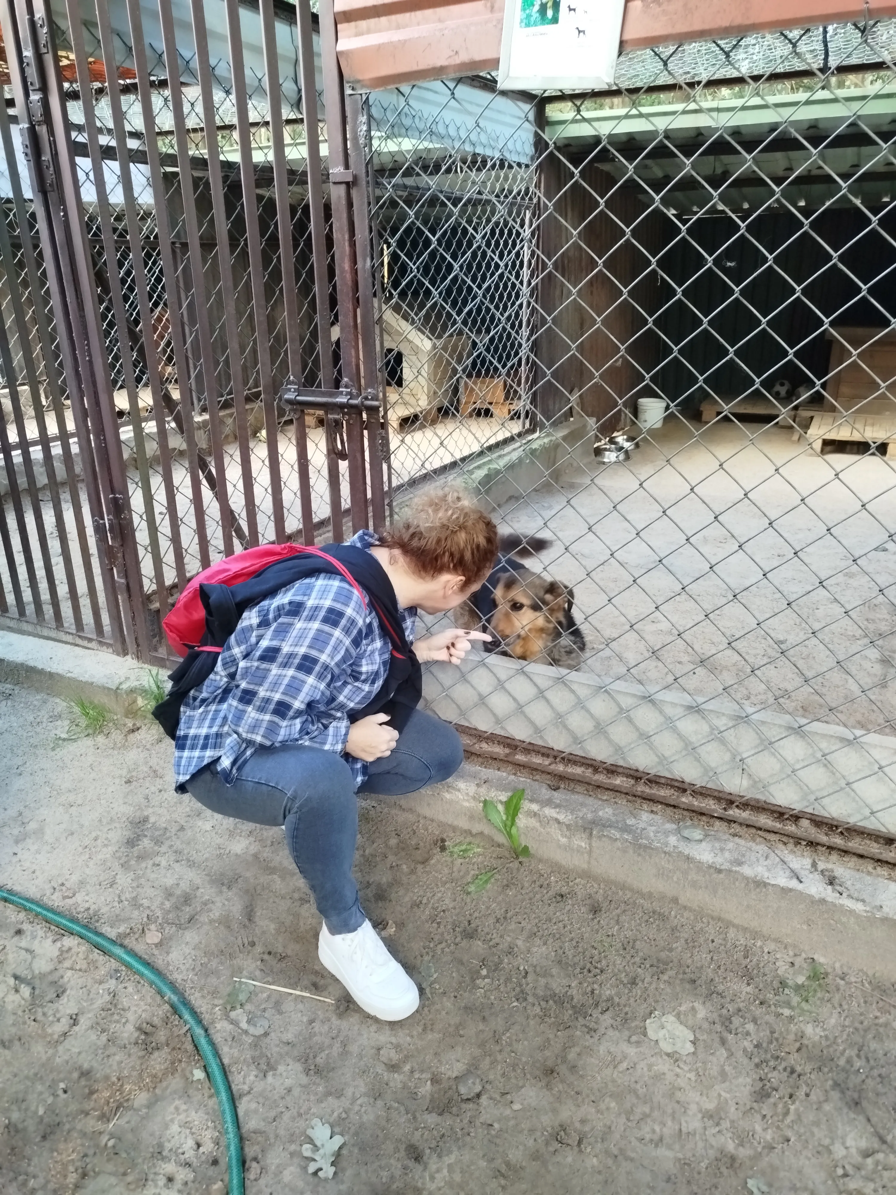 wolontariat